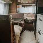 Sleep With Alpacas I Glamping Retreat In National Park Thy * Snedsted