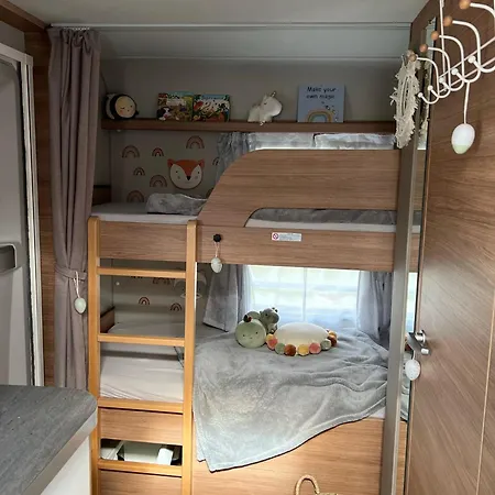 Sleep With Alpacas I Glamping Retreat In National Park Thy