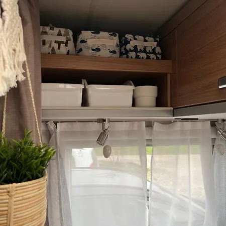 캠프장 Sleep With Alpacas I Glamping Retreat In National Park Thy