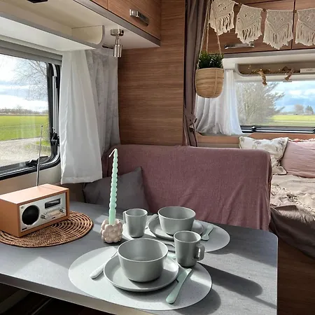 캠프장 Sleep With Alpacas I Glamping Retreat In National Park Thy *