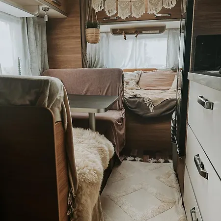 Sleep With Alpacas I Glamping Retreat In National Park Thy * Snedsted