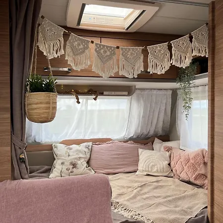 Sleep With Alpacas I Glamping Retreat In National Park Thy Campsite Snedsted
